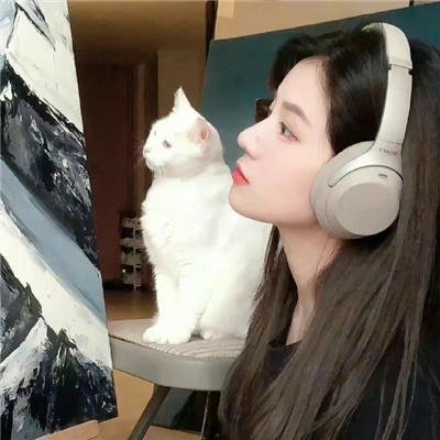 我的维权之路国语